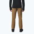 Мъжки панталони за катерене Columbia ROC Tech Warm Chino delta 3
