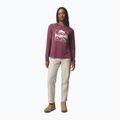 Дамска блуза с дълъг ръкав Columbia Parsons Point LS Graphic Tee antique mauve heather/all terrain 2