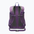 Туристическа раница Columbia Castle Crest 25 l dark lavender 2