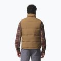 Мъжки елек Columbia Landroamer Puffer delta 3