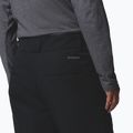 Мъжки скиорски панталони Columbia Bugaboo VI black 9