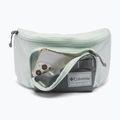 Чантичка за кръстна Columbia Zigzag II Hip Pack 1 l sedona sage/tea light 4