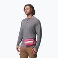 Чантичка за кръстна Columbia Helvetia II Hip Pack 1 l nico/dark stone 7