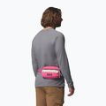 Чантичка за кръстна Columbia Helvetia II Hip Pack 1 l nico/dark stone 8