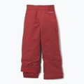 Детски скиорски панталони Columbia Bugaboo IV red oxide 2