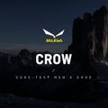 Salewa мъжки високопланински ботуши Crow GTX green 00-0000061328 12