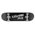 Класически скейтборд Mechanics Pro-Extreme 31 black Pro-ext