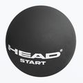 Топка за скуош HEAD Start Squash Ball черна 2