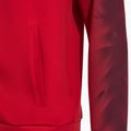 Мъжки суитшърт за бягане Joma Elite XI Full Zip red 5
