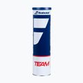 Тенис топки Babolat Team 4 бр. yellow 2