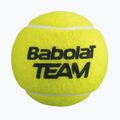 Тенис топки Babolat Team 4 бр. yellow 3