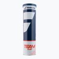 BABOLAT Team Глинени топки за тенис 4 бр. жълти 502080 2