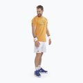 Мъжка тениска Babolat Exercise Big Flag autumn glory 2