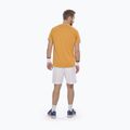Мъжка тениска Babolat Exercise Big Flag autumn glory 3