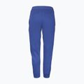 Мъжки панталон Babolat Exercise Jogger sodalite blue 2