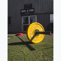 Лост Sveltus 1694 T-Bar Landmine 4
