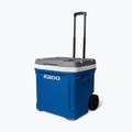 Туристически хладилник/Хладилна чанта Igloo Latitude 60 Qt 56 l indigo blue 2