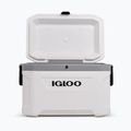 Хладилник за пътуване Igloo Latitude Marine Ultra 54 51 л бял/лунен пейзаж сив 4