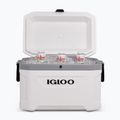 Хладилник за пътуване Igloo Latitude Marine Ultra 54 51 л бял/лунен пейзаж сив 10