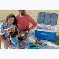 Туристически хладилник Igloo Latitude 52 indigo blu/white/meteorite 15
