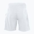 Мъжки тенис шорти Tecnifibre Stretch white 23STRE 2