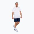 Мъжка тенис поло тениска Tecnifibre Team Mesh white 22MEPOWH34