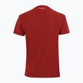 Мъжка тениска Tecnifibre Team Tech Tee red 22TETECR33 3