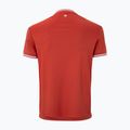 Мъжка тениска/фланелка за тенис Tecnifibre Team Tech terracotta 5