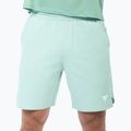 Мъжки тенис шорти Tecnifibre Team Stretch Short sage 2