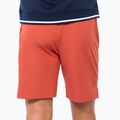 Мъжки тенис шорти Tecnifibre Team Stretch Short terracotta 2
