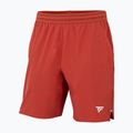 Мъжки тенис шорти Tecnifibre Team Stretch Short terracotta 4