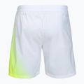 Мъжки тенис шорти Tecnifibre X-Loop white/yellow 6