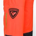 Мъжки ски панталони Rossignol Hero Ski neon red 12