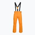 Мъжки скиорски панталони Rossignol Ski sunburst 8