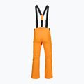 Мъжки скиорски панталони Rossignol Ski sunburst 9