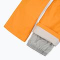 Мъжки скиорски панталони Rossignol Ski sunburst 12