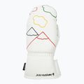 Дамски ски ръкавици Rossignol Sublim Lth Impr M white 2