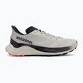 Мъжки обувки за бягане Rossignol Venosk light grey 2
