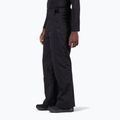 Мъжки скиорски панталони Rossignol Strawpile Insulated black 4