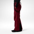 Мъжки скиорски панталони Rossignol Insulated Ski tibetan red 4