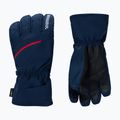 Мъжки скиорски ръкавици Rossignol Perf R-Shell Thermal dark navy 2