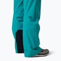 Дамски скиорски панталони Rossignol Strawpile Insulated baltic 6