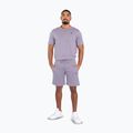 Мъжки къси панталони Venum Silent Power Cotton лавандулено сиви 2