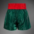 Мъжки тренировъчни шорти Venum Classic Muay Thai khaki 2