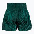 Мъжки тренировъчни шорти Venum Classic Muay Thai khaki 2