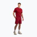 Мъжки тренировъчни шорти Venum Giant 3D Cotton red 2