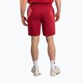 Мъжки тренировъчни шорти Venum Giant 3D Cotton red 3
