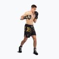 Мъжки тренировъчни шорти Venum x Mike Tyson Tiger black/gold 2