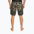 Мъжки къси панталони за плуване Highlite Scallop 19" Quiksilver, зелени EQYBS04761-CQY6 3