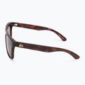 Мъжки слънчеви очила Quiksilver Ferris brown tortoise brown 4